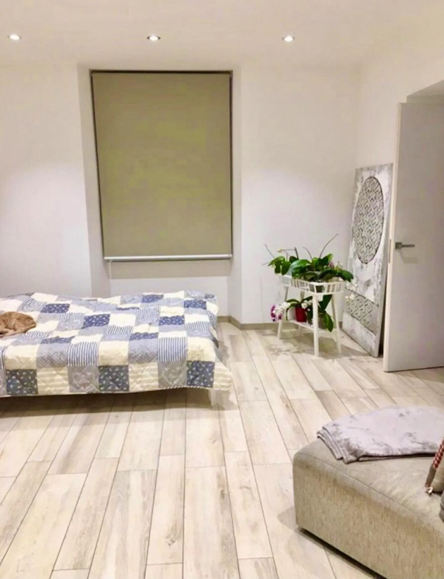 Appartamento moderno con giardino recintato - Foto 4 di 17