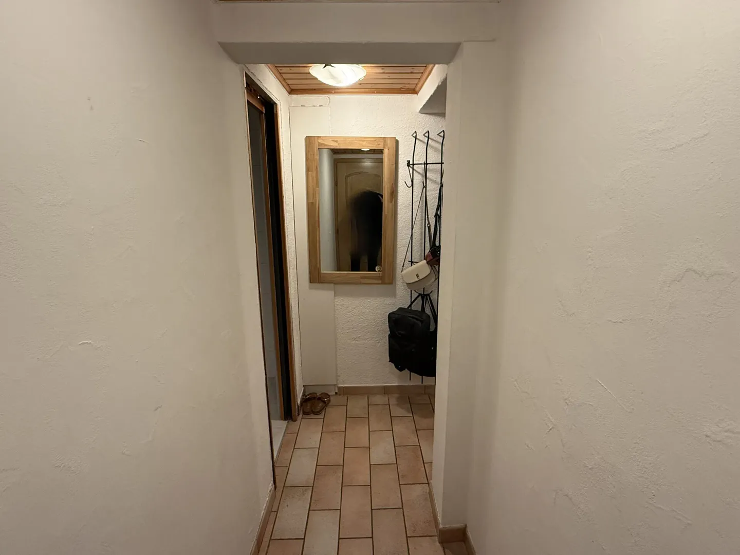 Charmante Wohnung mit Matterhornblick - Foto 2 von 18