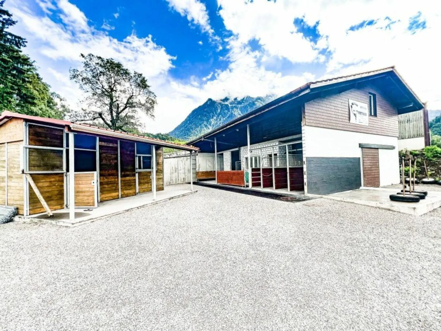 Paradiso dei cavalli nel Simmental - Oberland bernese - Foto 1 di 30