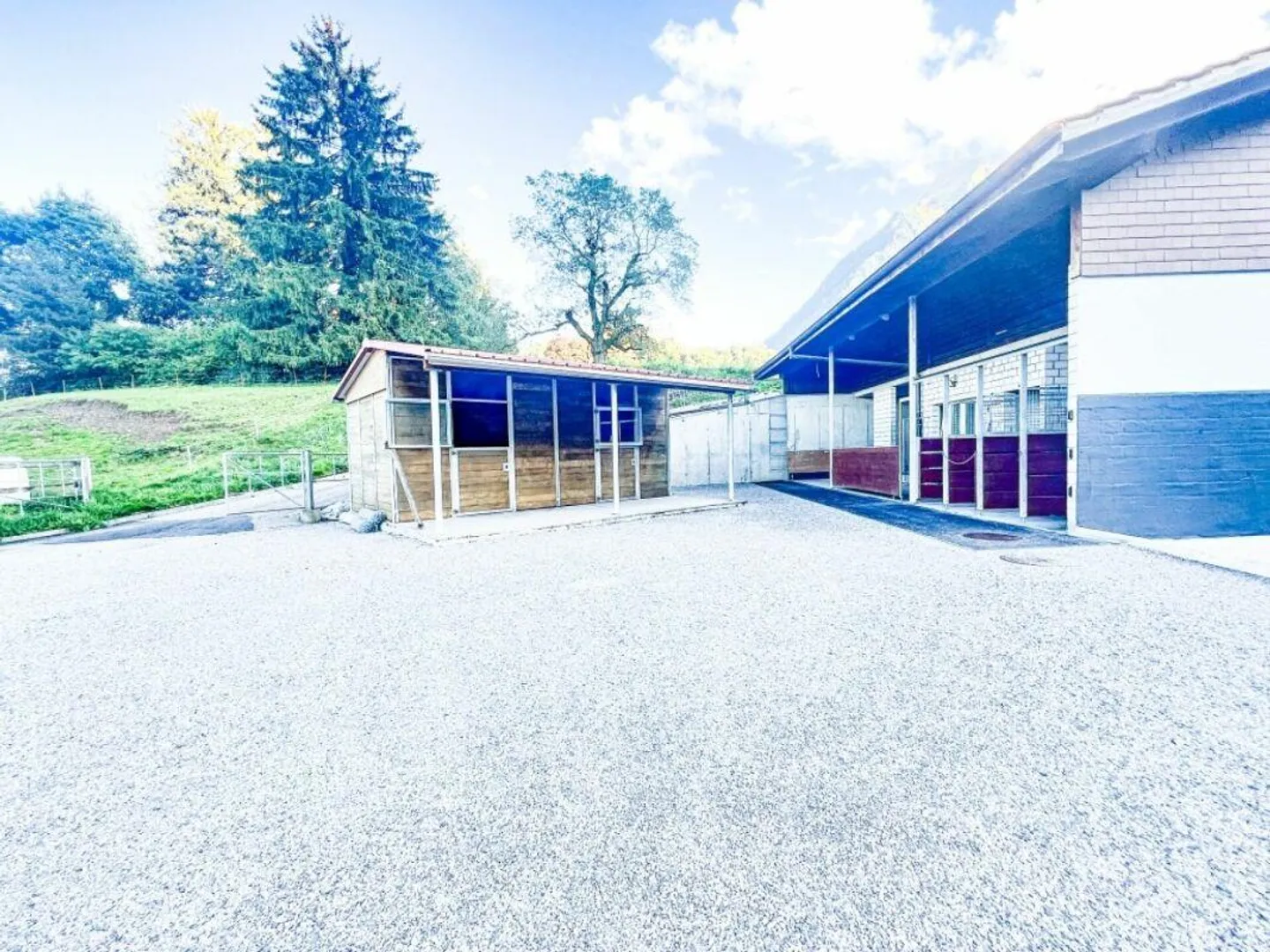 Paradiso dei cavalli nel Simmental - Oberland bernese - Foto 4 di 30
