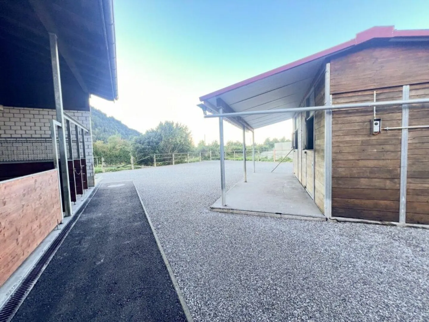 Paradiso dei cavalli nel Simmental - Oberland bernese - Foto 6 di 30