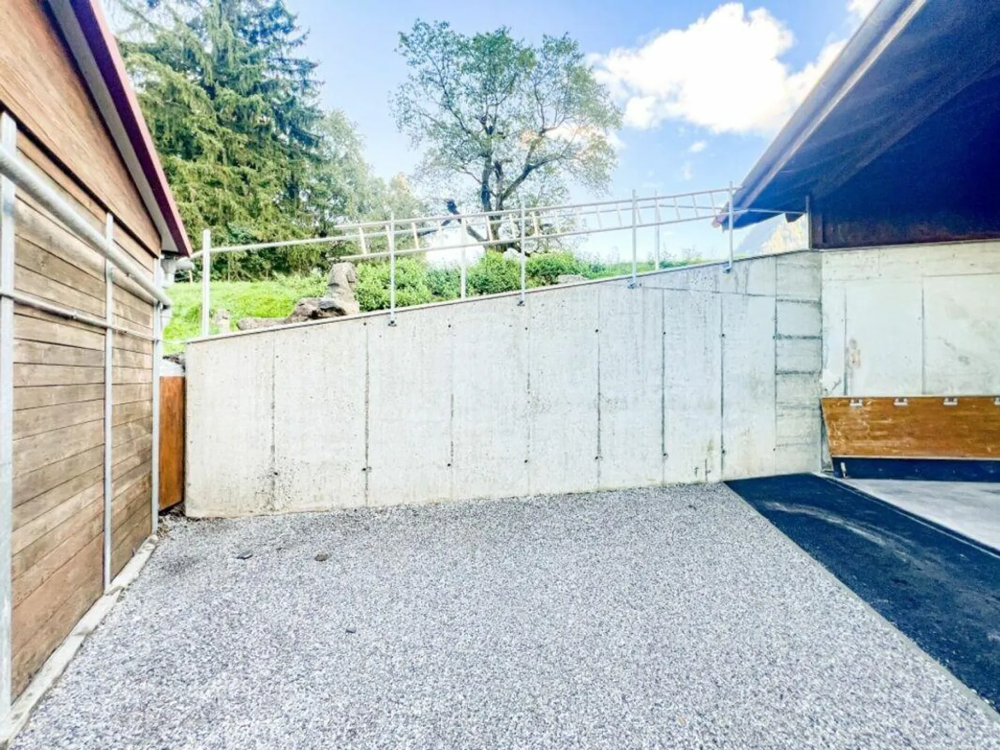Paradiso dei cavalli nel Simmental - Oberland bernese - Foto 8 di 30