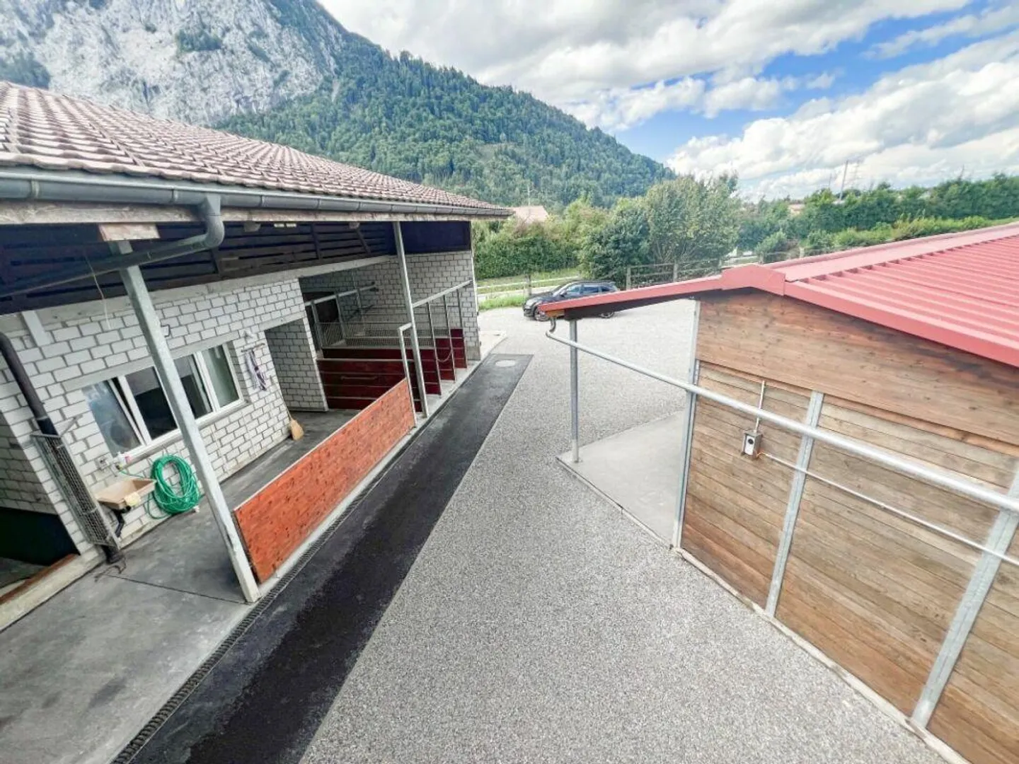 Paradiso dei cavalli nel Simmental - Oberland bernese - Foto 9 di 30