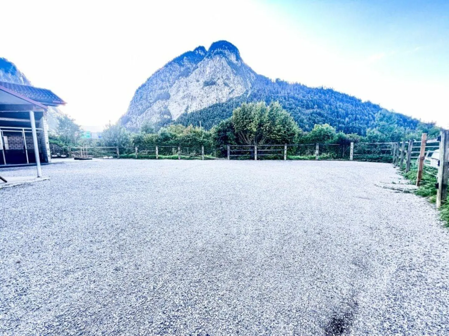Paradiso dei cavalli nel Simmental - Oberland bernese - Foto 23 di 30