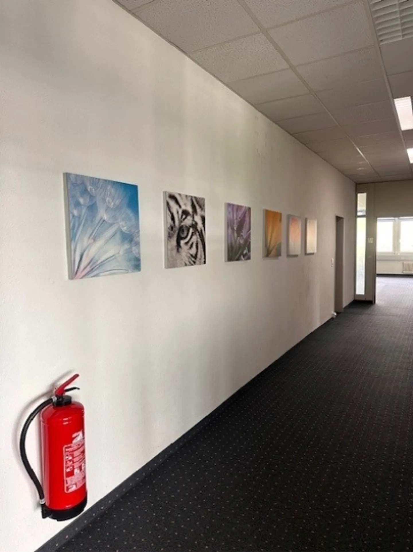 Air-conditioned offices with a view for rent - Photo 10 of 11