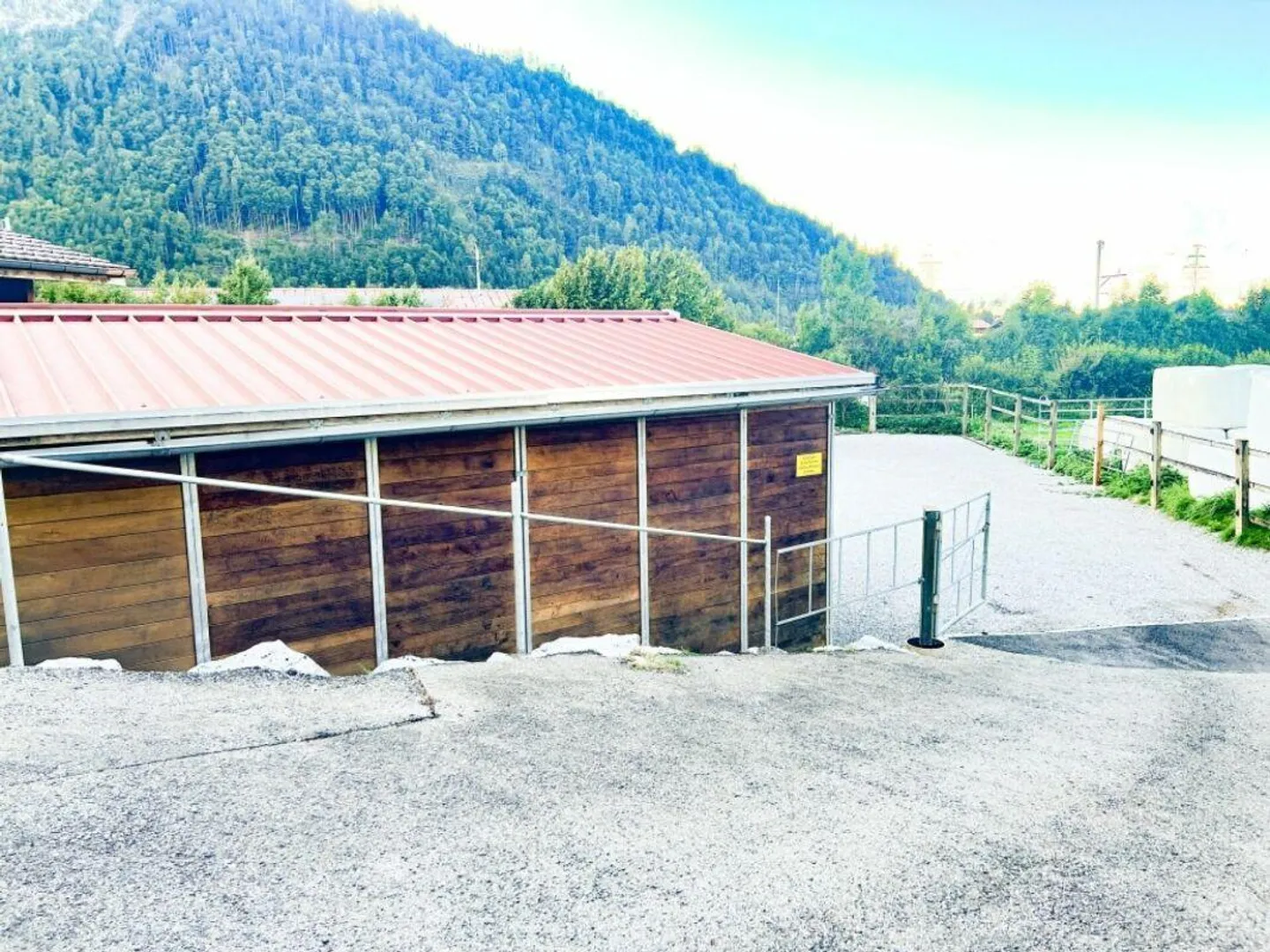 Paradiso dei cavalli nel Simmental - Oberland bernese - Foto 27 di 30