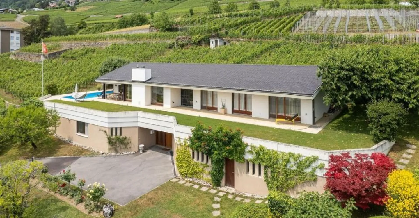 Zwischen dem Grün der Weinberge und dem Blau des Sees - Foto 1 von 11