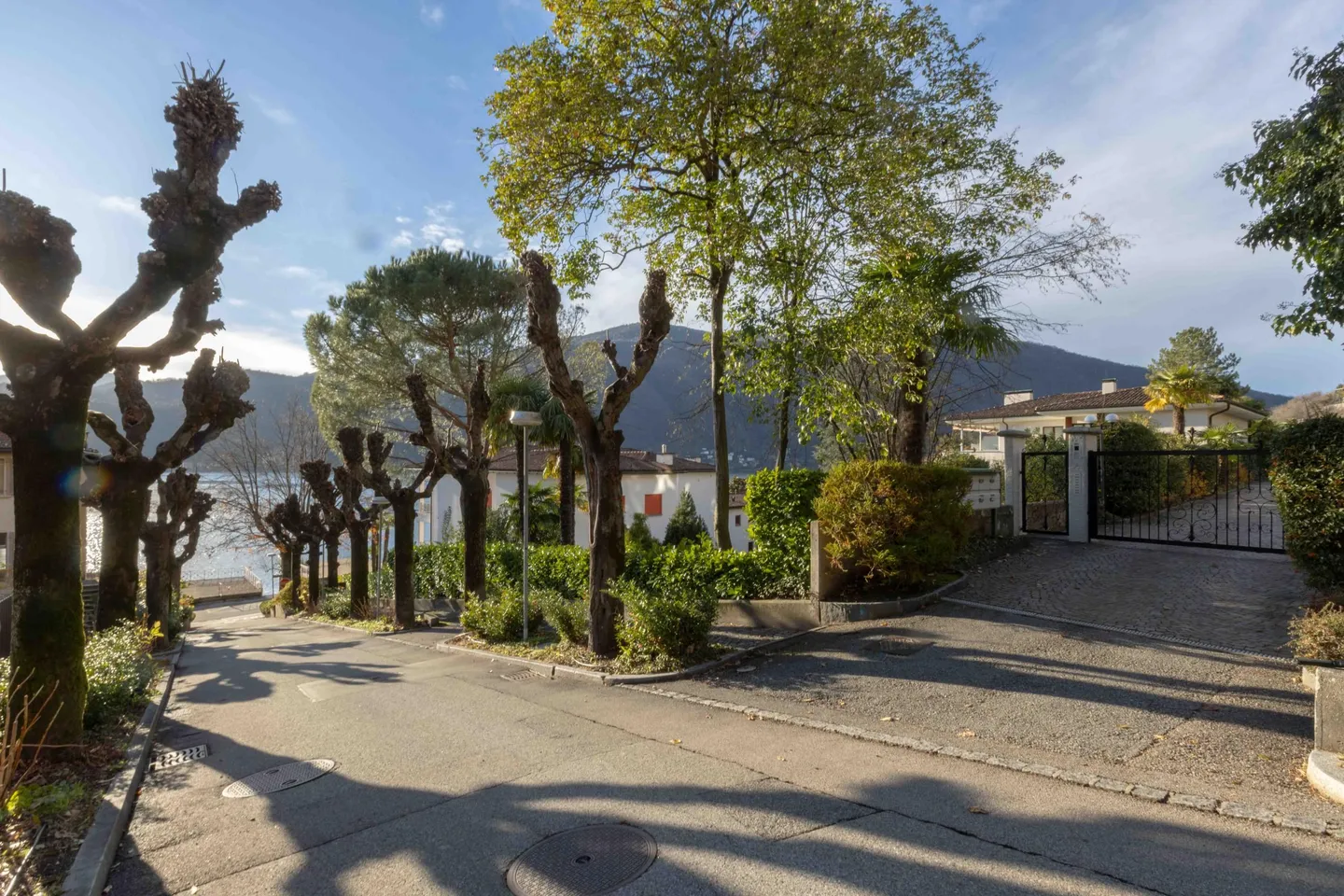 BEAUTIFUL 1.5 INCOME WITH POOL AND GARDEN IN MORCOTE - Photo 10 of 11