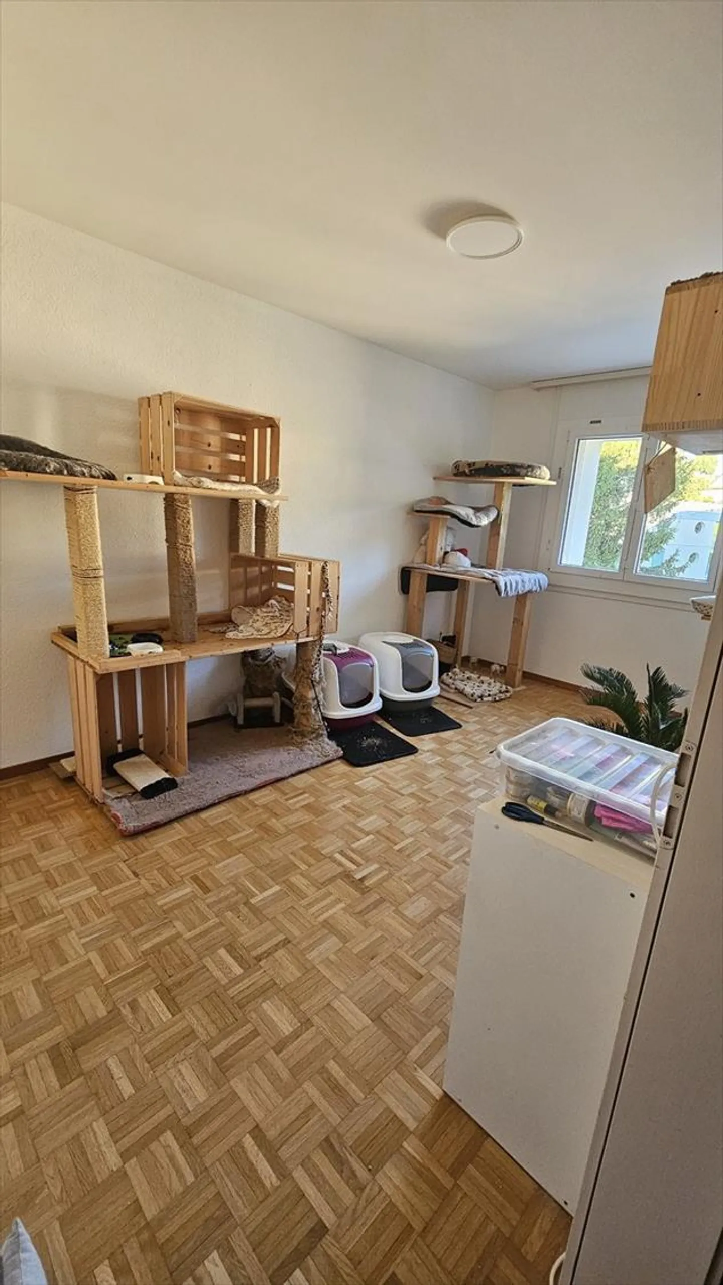 Charming 4.5-room apartment in Treyvaux - Photo 3 of 8