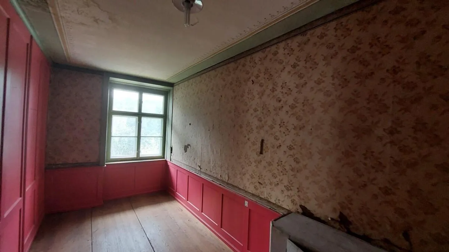 Space, Character, History. Your Multi-Generational House in Erlen - Photo 8 of 14