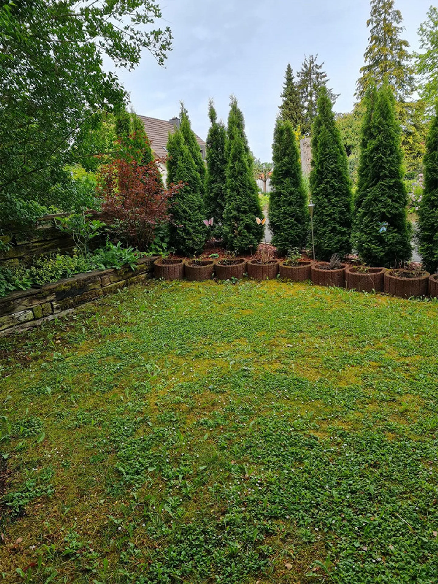 Appartement indépendant avec coin jardin - Photo 6 sur 13