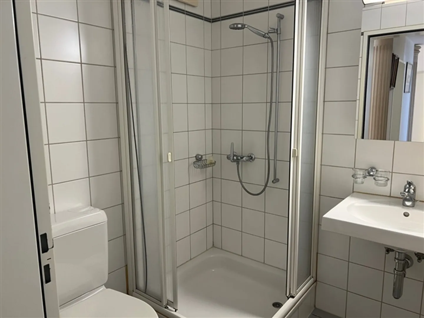 4½ ROOM APARTMENT IN ZURICH - DISTRICT 8, FURNISHED, TEMPORARY - Photo 6 of 10