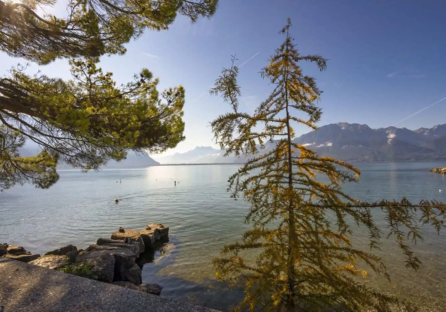 2.5 Room Apartment - Photo 11 of 11