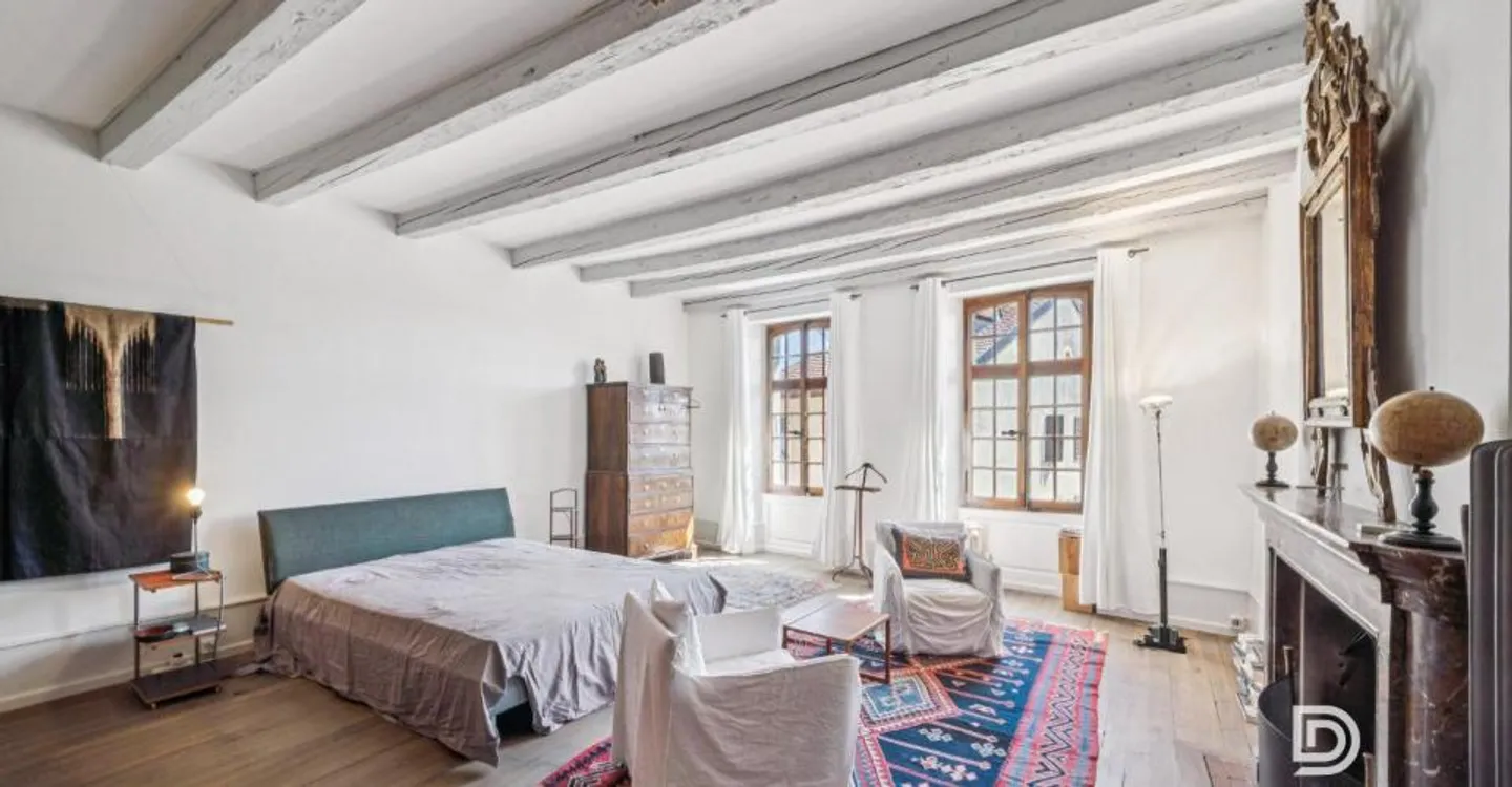Sumptuous renovated mansion with care, with city garden and absolute calm - Photo 7 of 13
