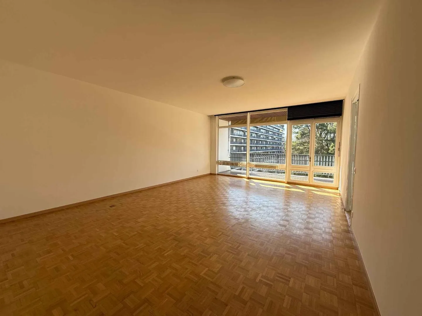Magnifico appartamento di 5 stanze - Foto 2 di 11