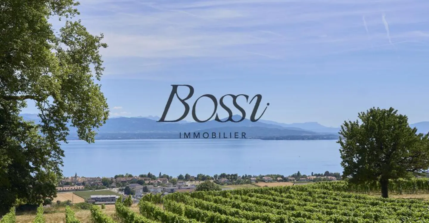 Villa contemporaine avec vue sur le lac - Photo 1 sur 7