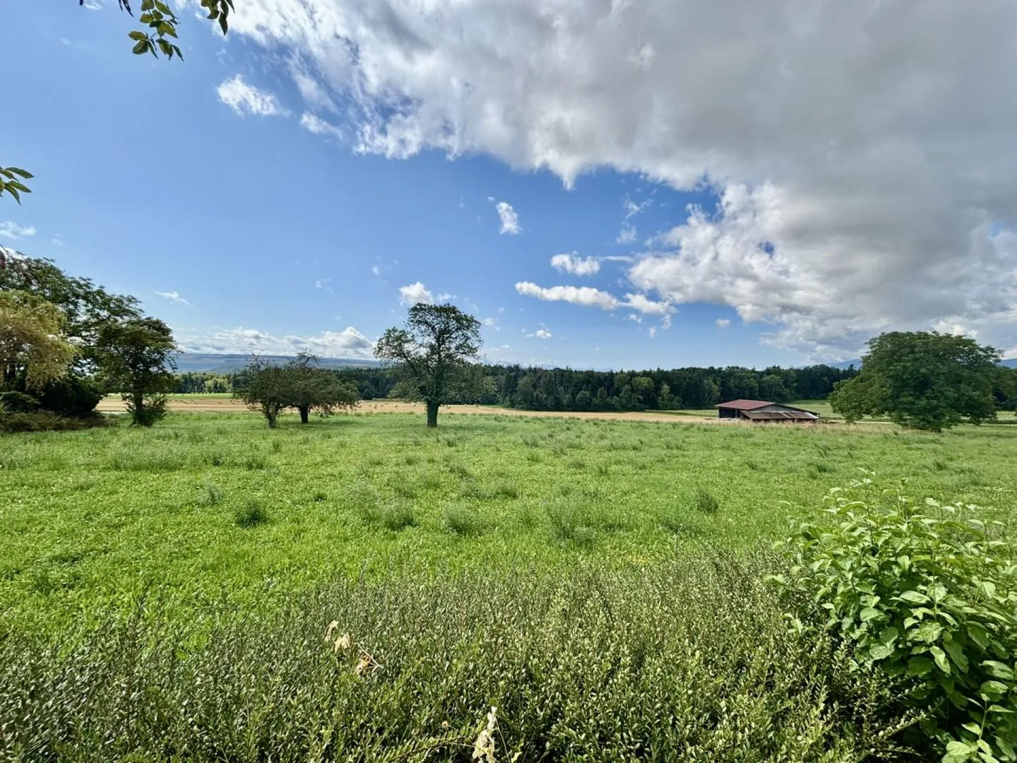 Appartamento 4.5 locali a Orges - Foto 3 di 10