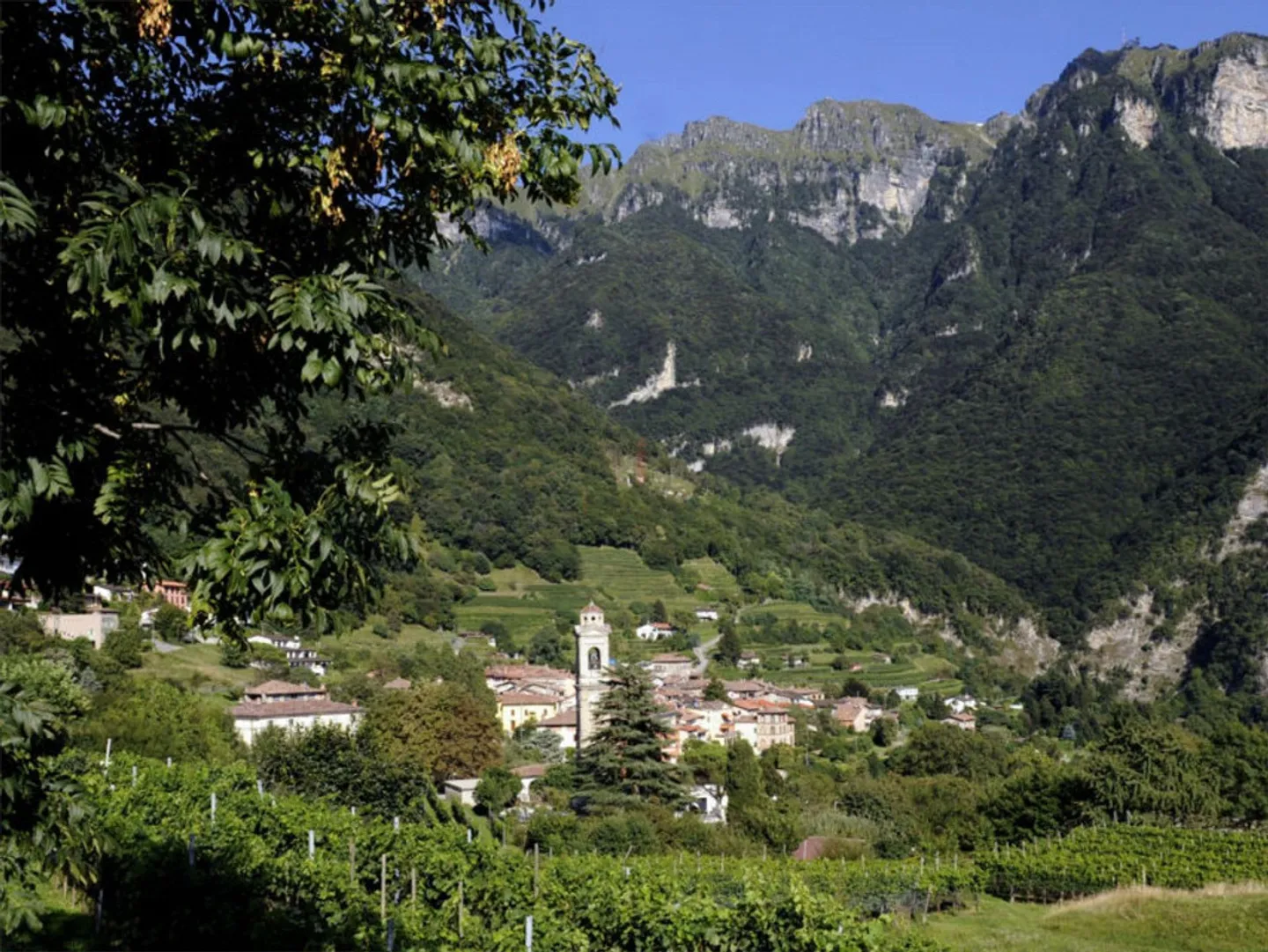 COSTRUISCI LA TUA CASA VISTA LAGO - Foto 10 di 10