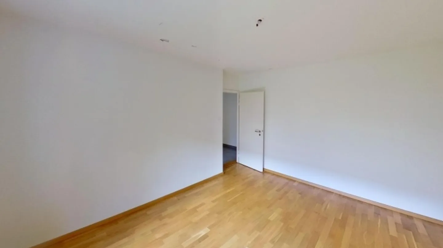 Disponibile fino al 30.11.2026: Soluzione temporanea ideale – Appartamento con 2 camere a Wiedikon - Foto 4 di 8