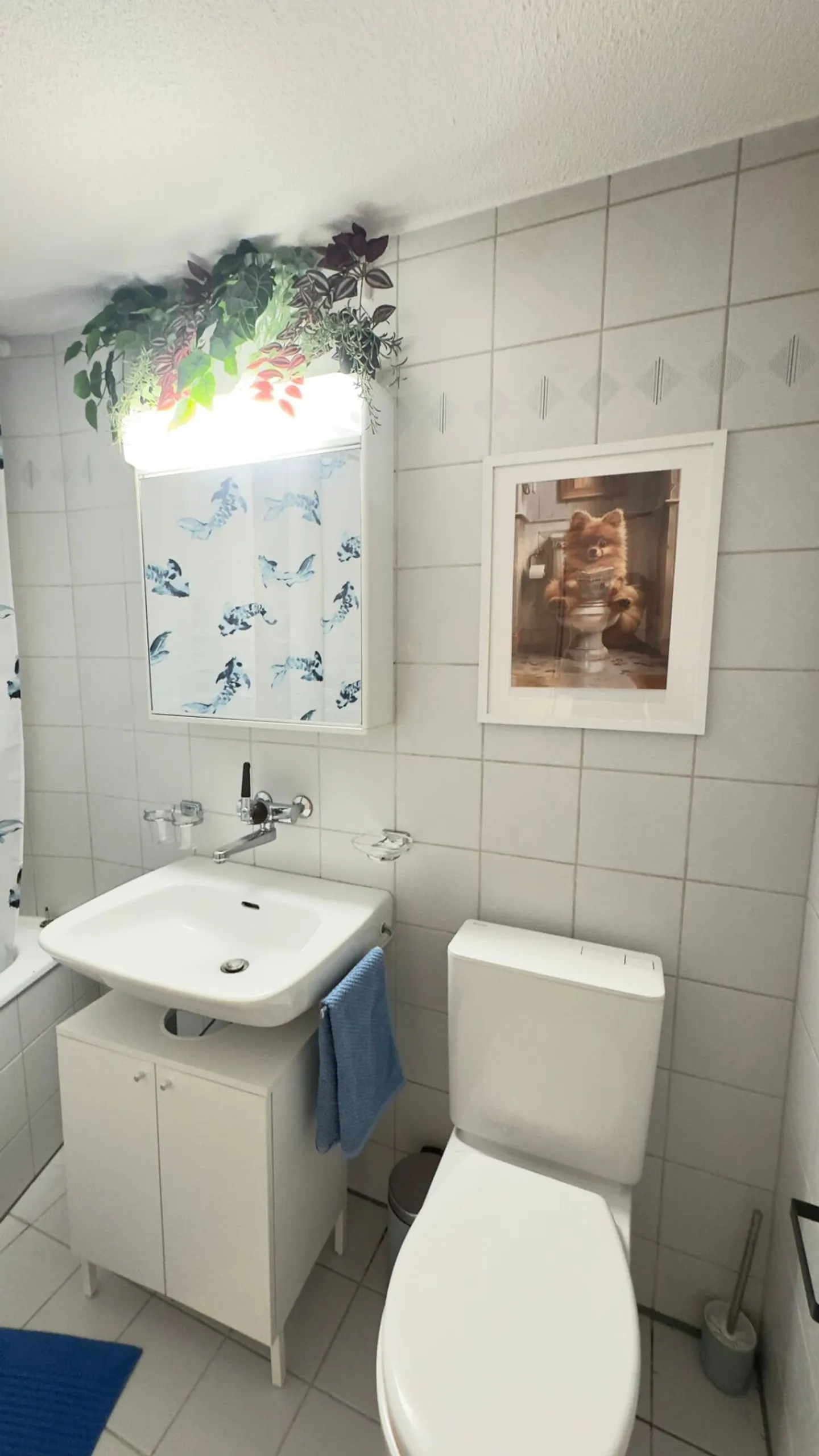 Propriété d'investissement à Delémont - Photo 17 sur 18