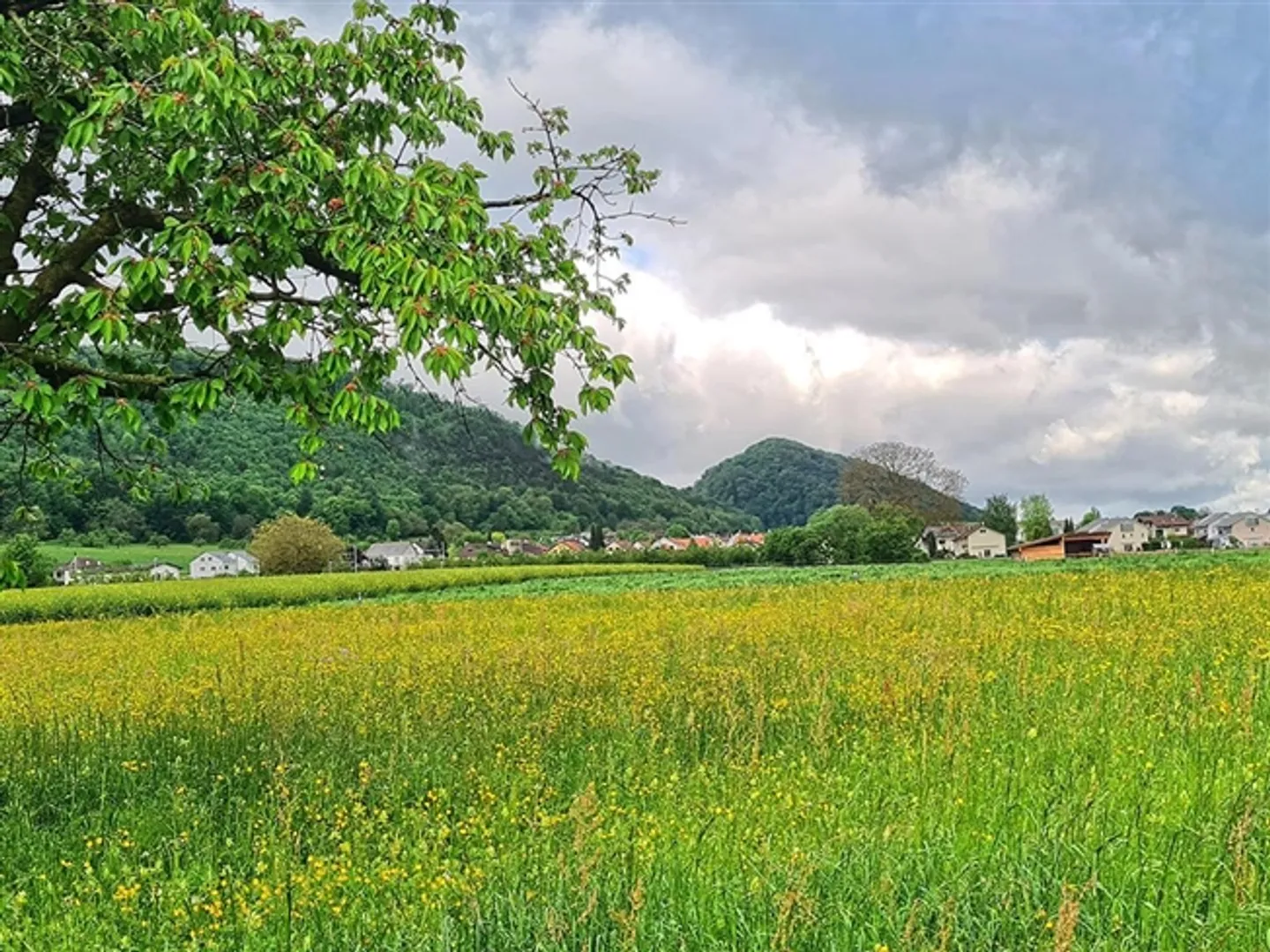 «6 Room villa» - Photo 1 sur 3