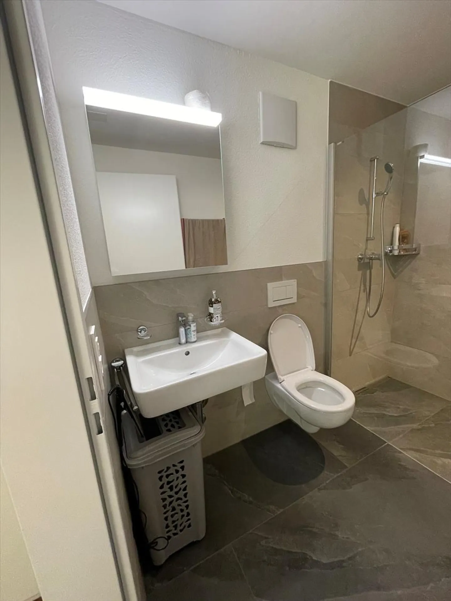 1.5 Room Apartment - Photo 3 of 5