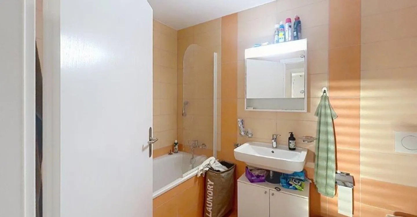 Spacious Apartment in Orbe - Photo 8 of 11