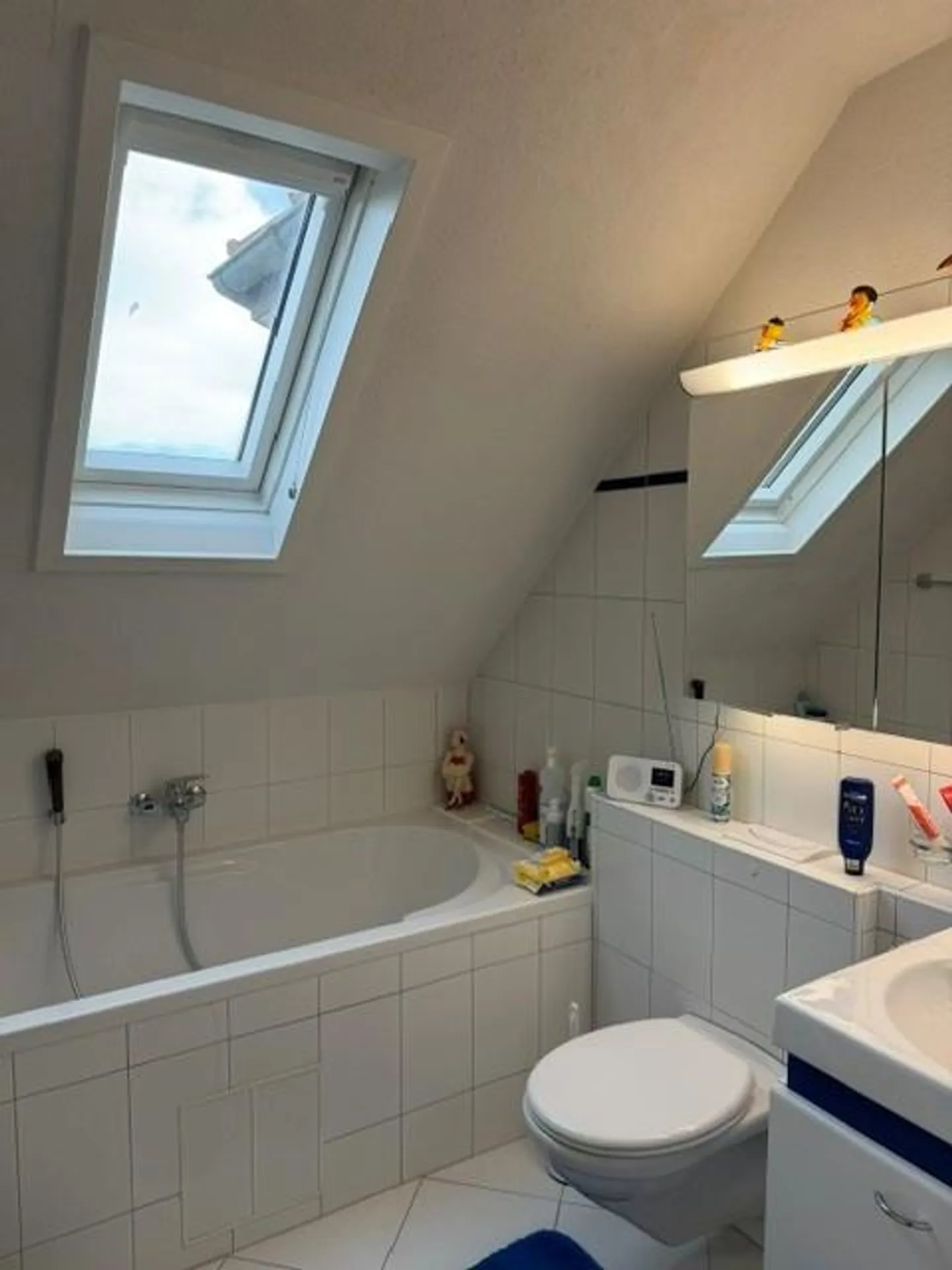 Generational House/2-Family House with Charm in Birsfelden - Photo 13 of 17