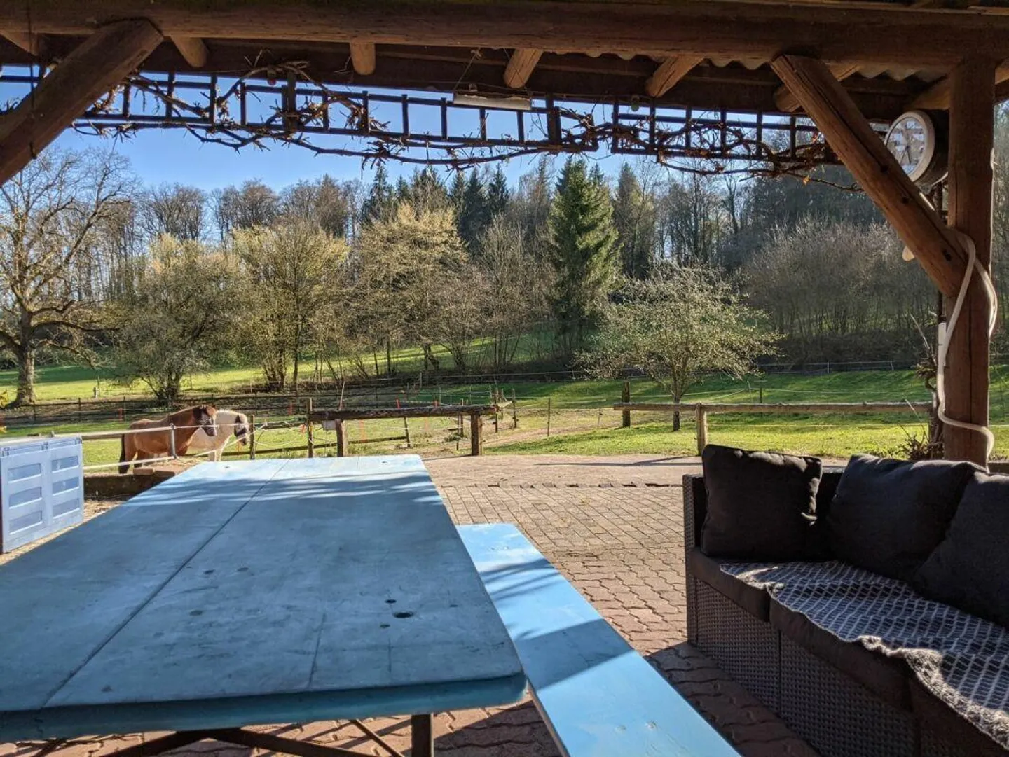 Ultima possibilità - Struttura equestre con progetto di costruzione - Foto 25 di 25