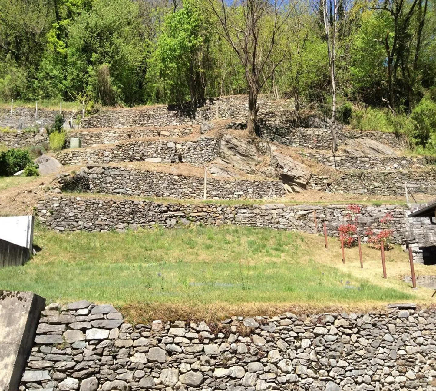 Terreno edificabile R2 di 770 m², progetto di massima e grotto/rustico esistente - Foto 1 von 10