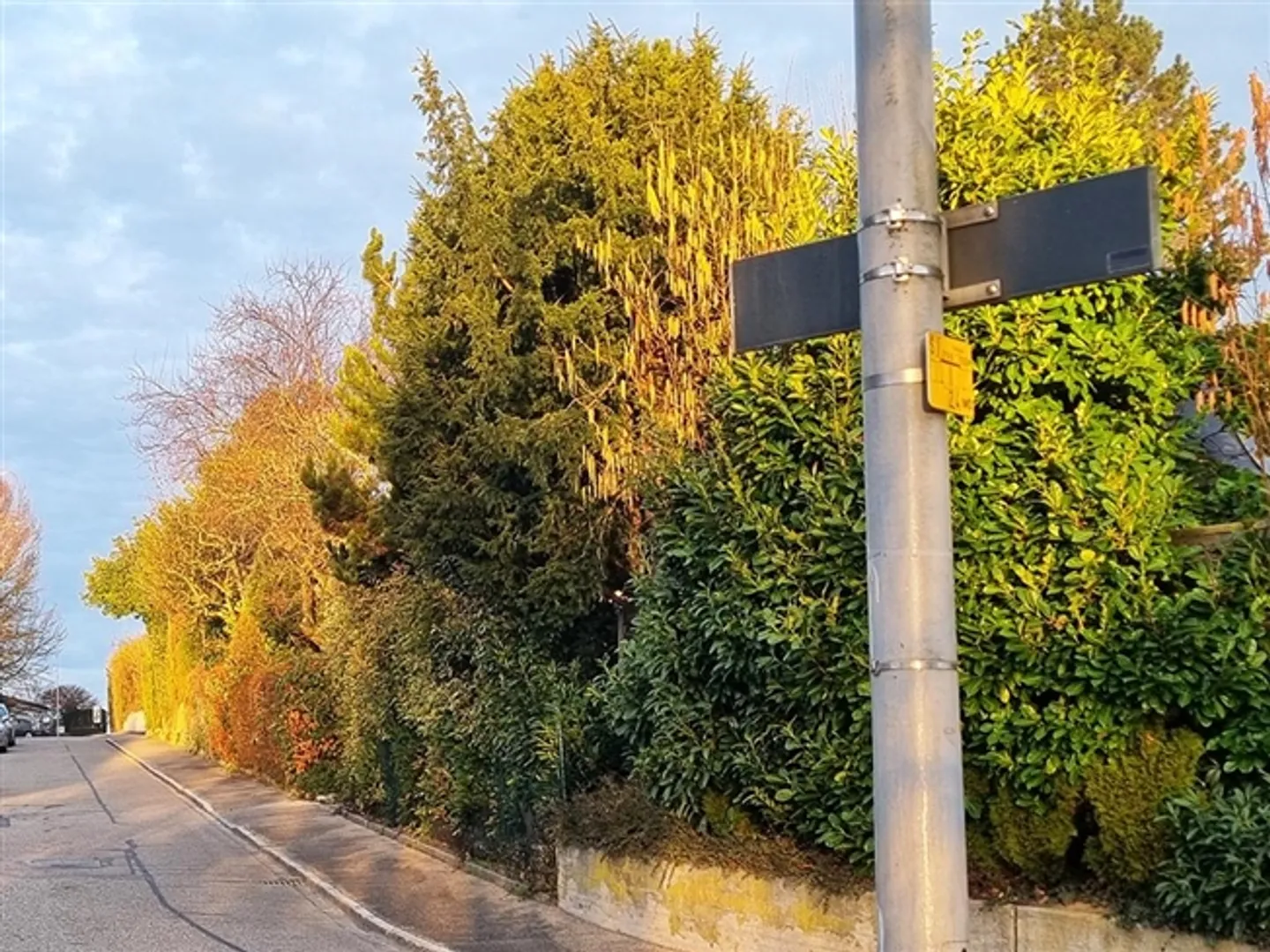 BINNINGEN - HERRLICHES HAUS - 4.5 ZIMMER - Foto 3 von 4