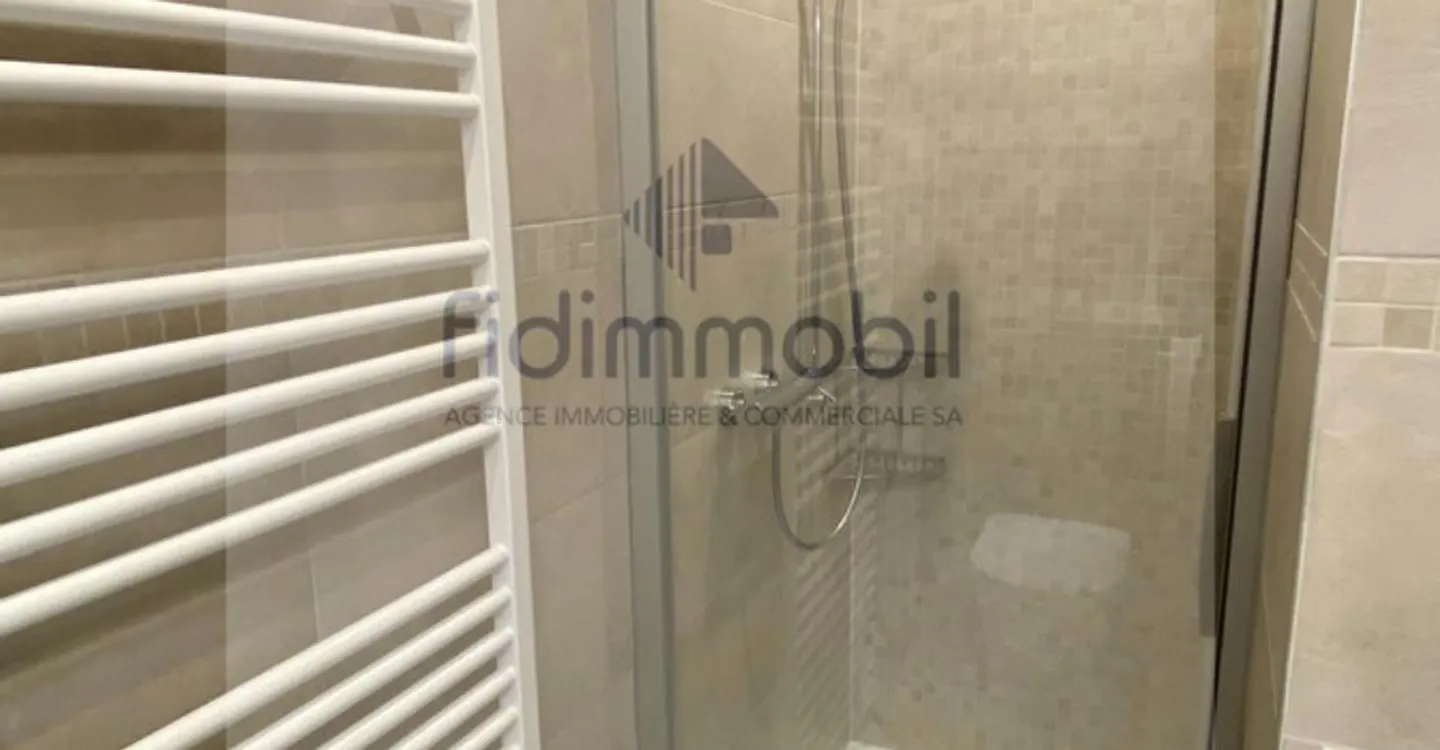 ENTIRELY RENOVATED APARTMENT WITH UNOBSTRUCTED VIEW OF THE LAKE - Photo 9 of 10