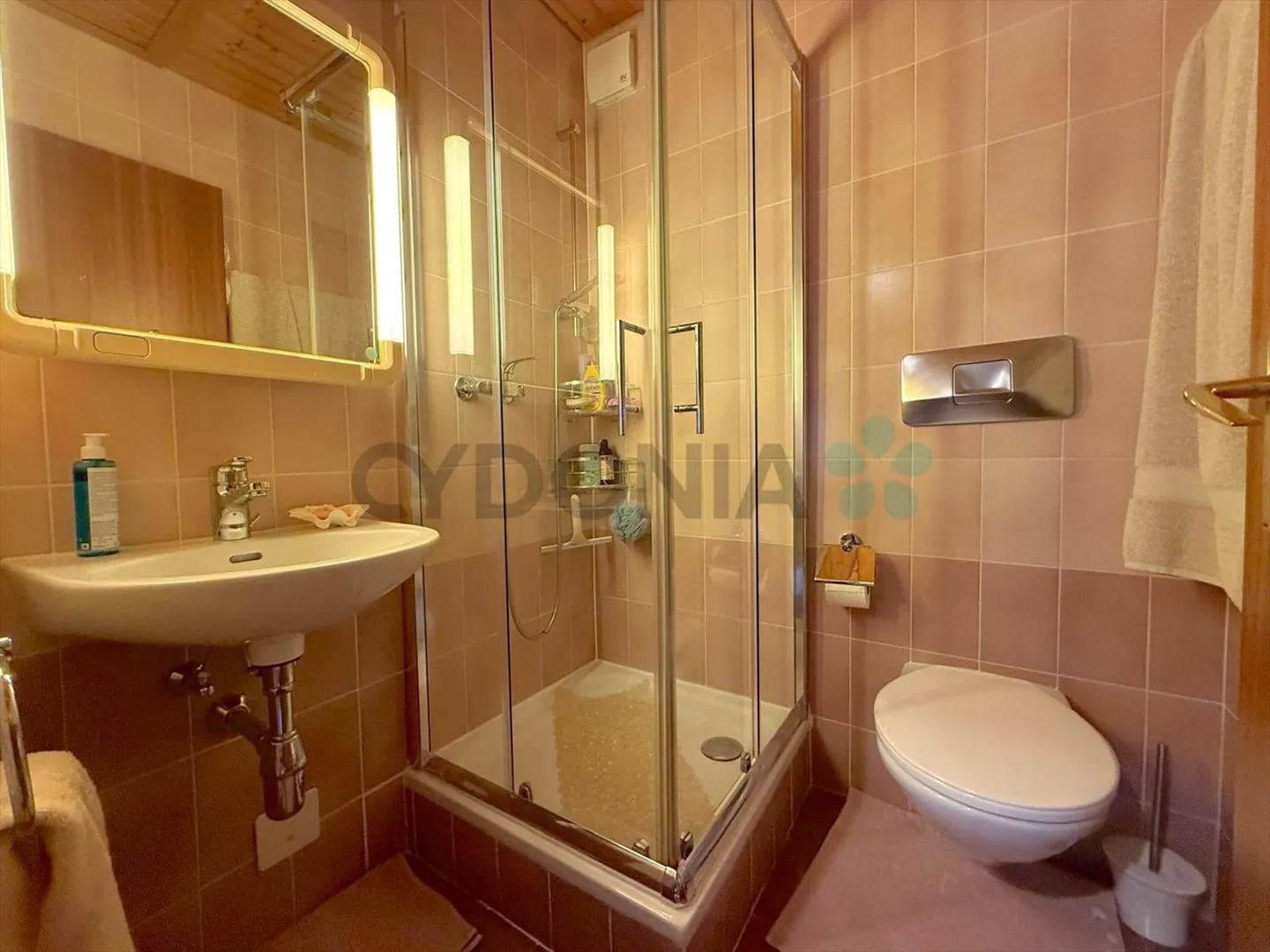 Magnifica casa a schiera a Commugny - Foto 10 di 13