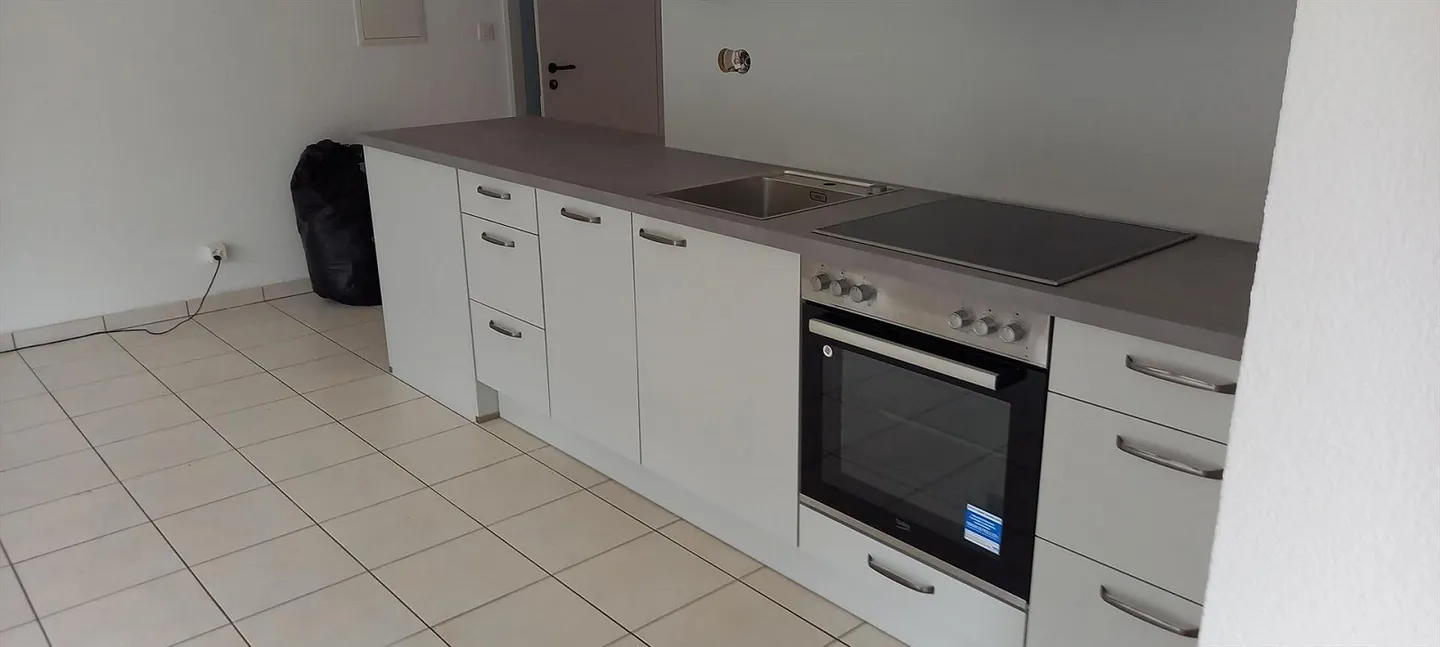 Luminoso, recentemente ristrutturato appartamento con 2 camere - Foto 1 di 5