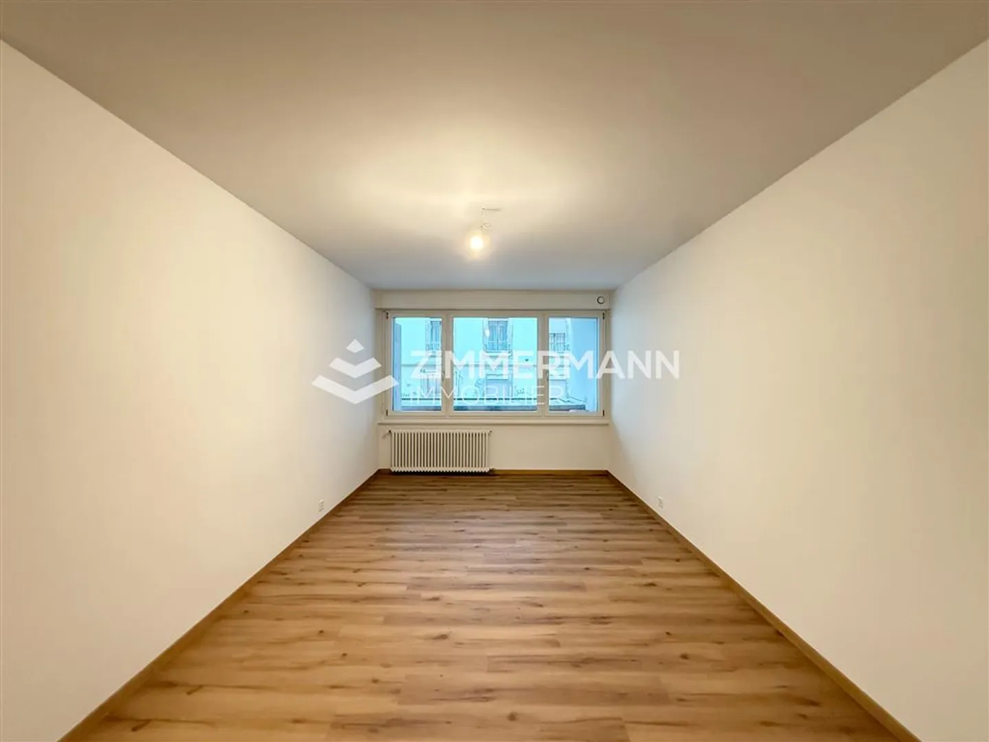 Commercial Space in Eaux-Vives - Photo 2 of 4