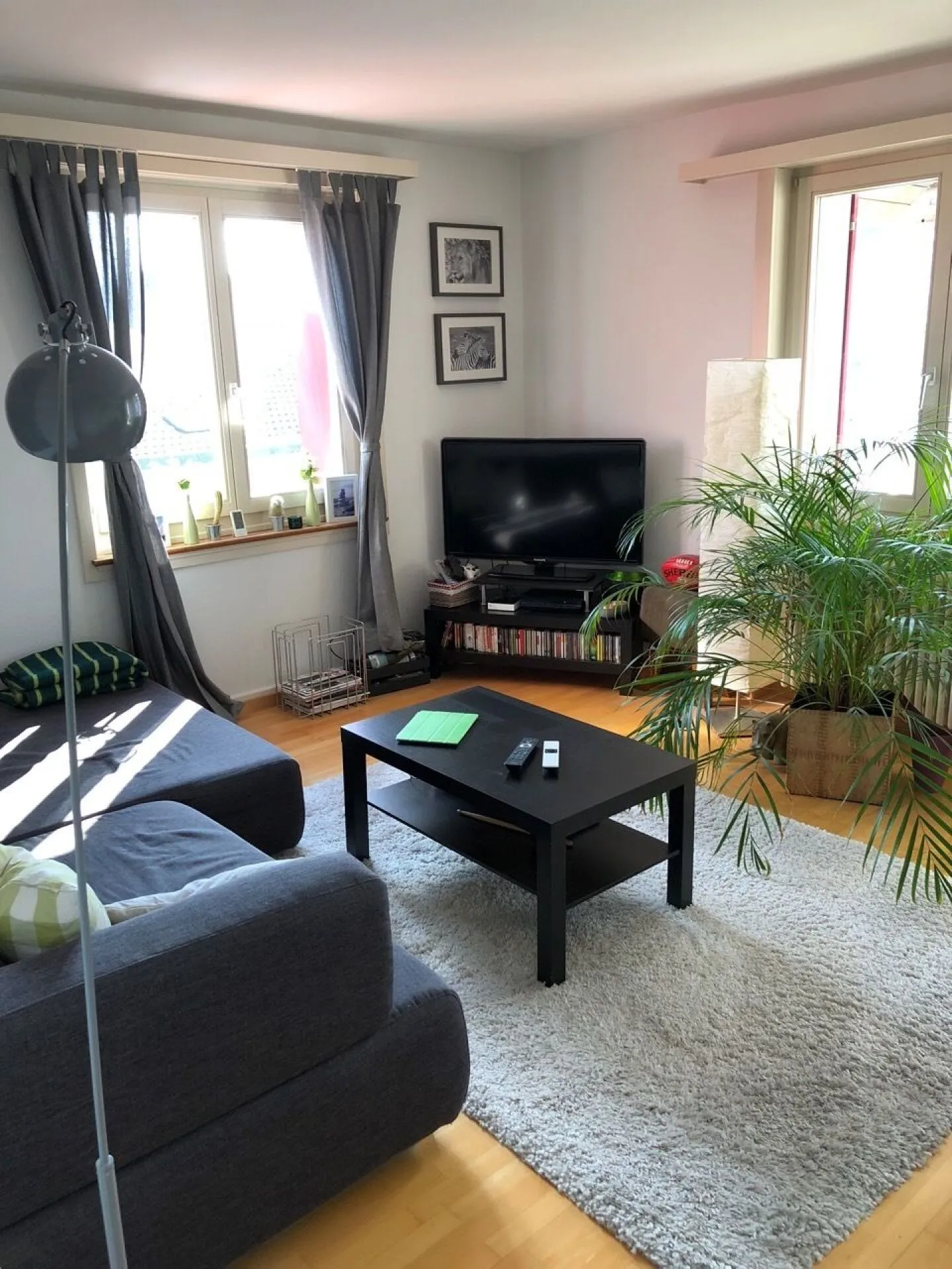 Attraktive 3-Zimmer-Wohnung im Grünen - Foto 3 von 11