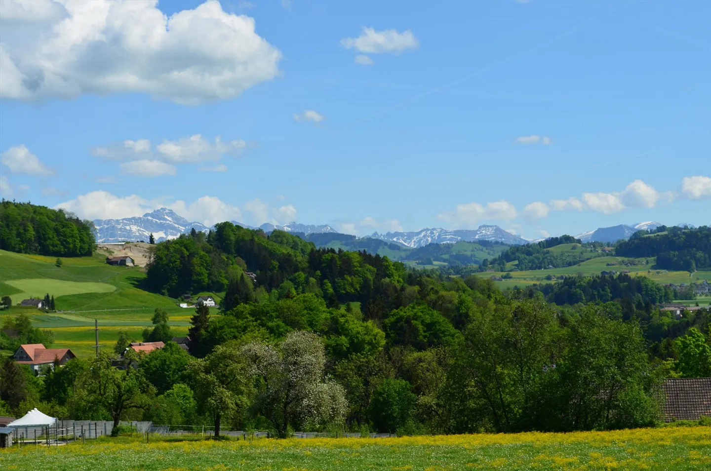 Appartamento mansardato di 3,5 stanze - Foto 8 di 11