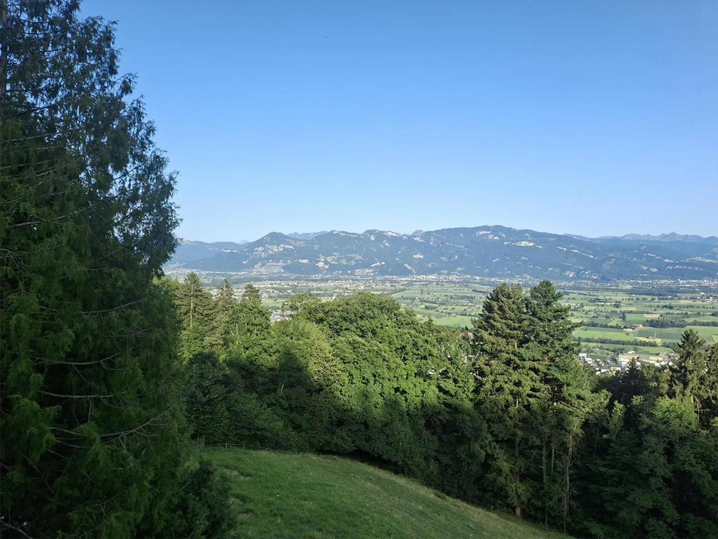 2.5-Zimmer-Wohnung mit Weitsicht ins Rheintal – in Reute (AR) - Foto 2 von 16