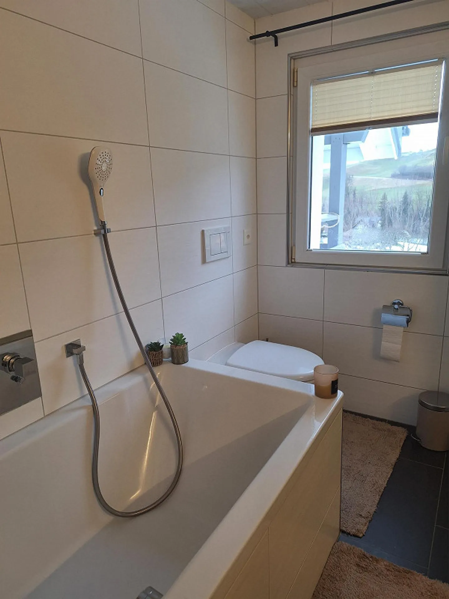 Subtenant for a beautiful rural 5.5 room apartment - Photo 8 of 16