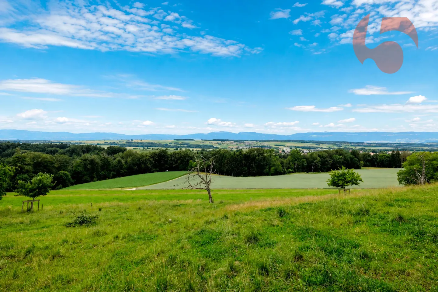 Magnifica villa di 4,5 stanze con vista panoramica sul Giura e sul paesaggio circostante - Foto 3 di 16