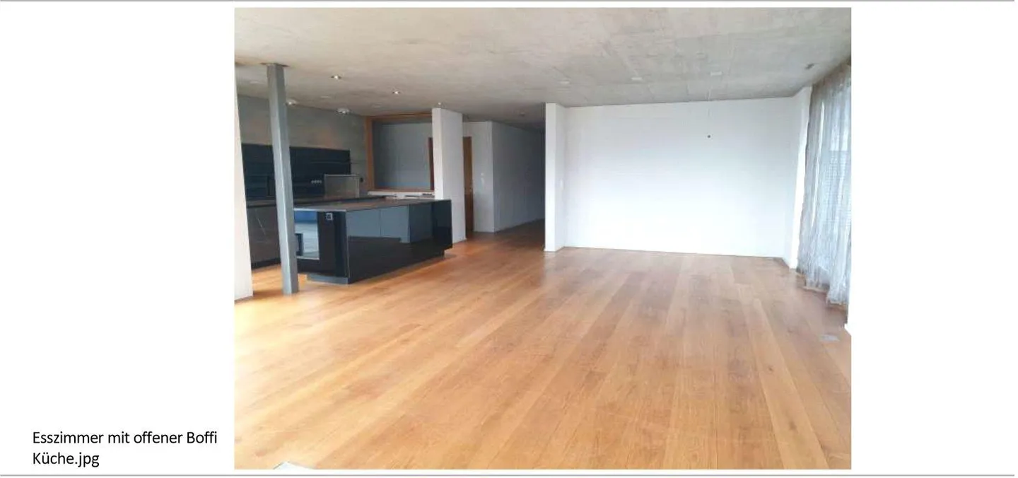 Appartamento con terrazza e vista mozzafiato sull'Alpstein - Foto 4 di 10