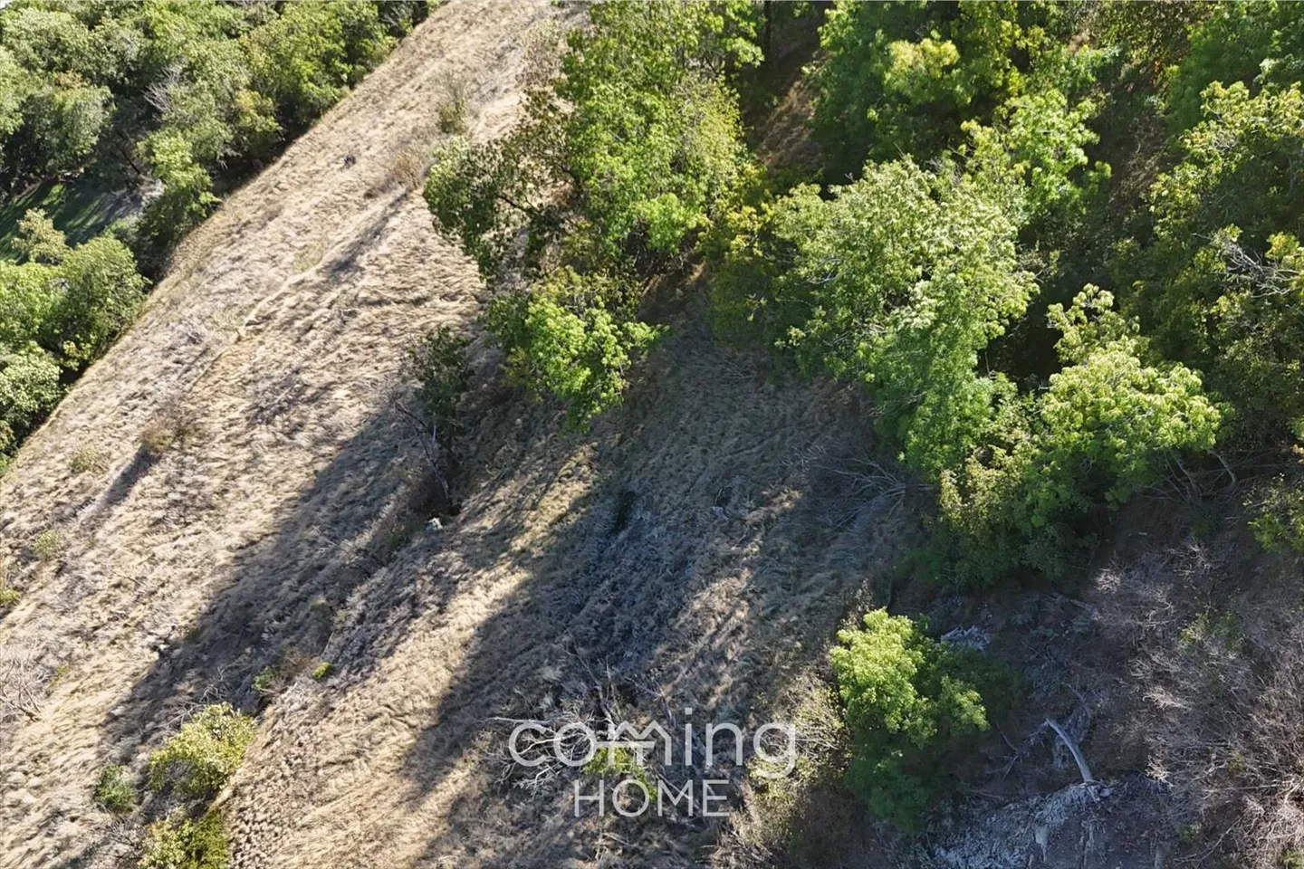 Sfruttamento montano - Foto 2 di 9