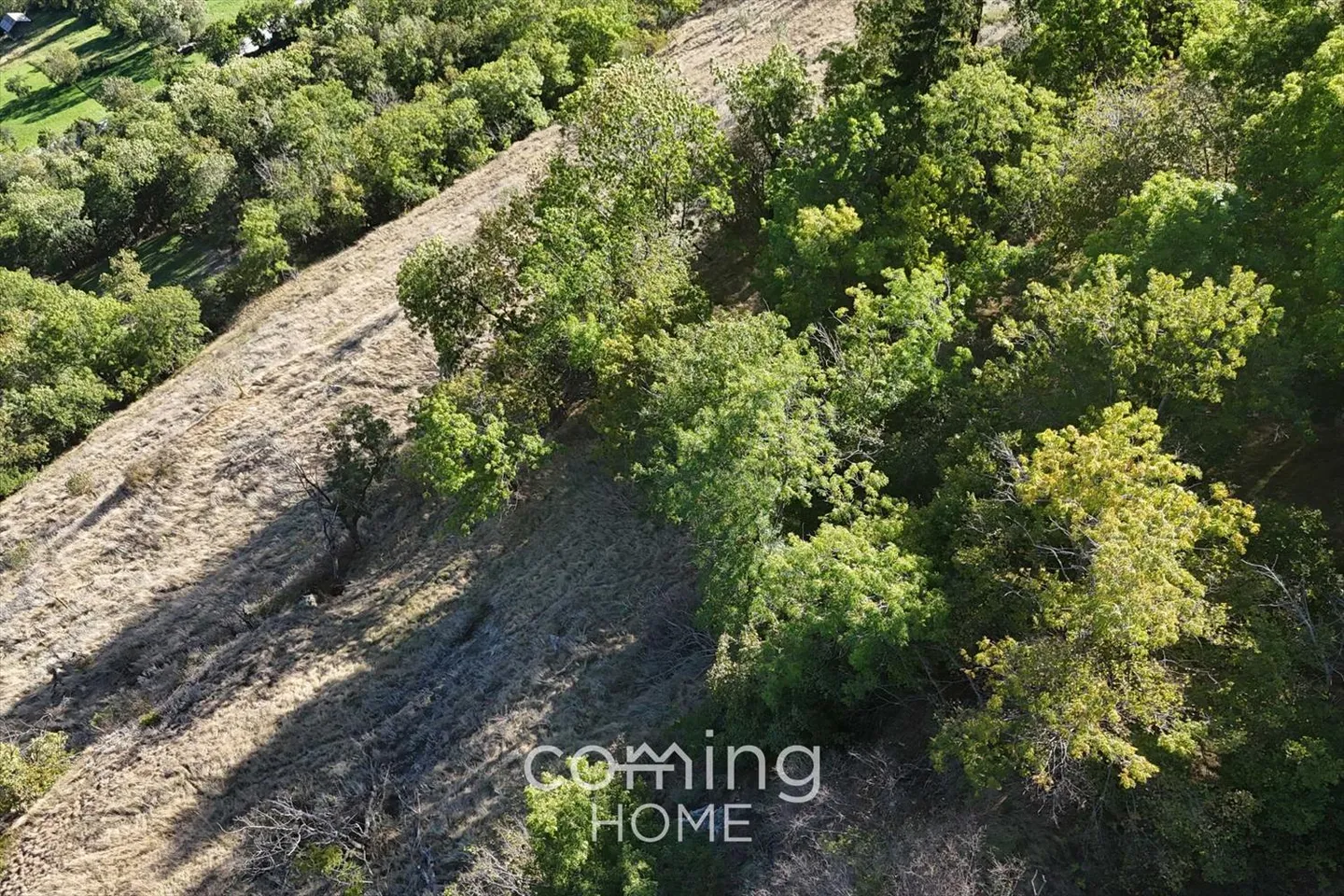 Sfruttamento montano - Foto 7 di 9