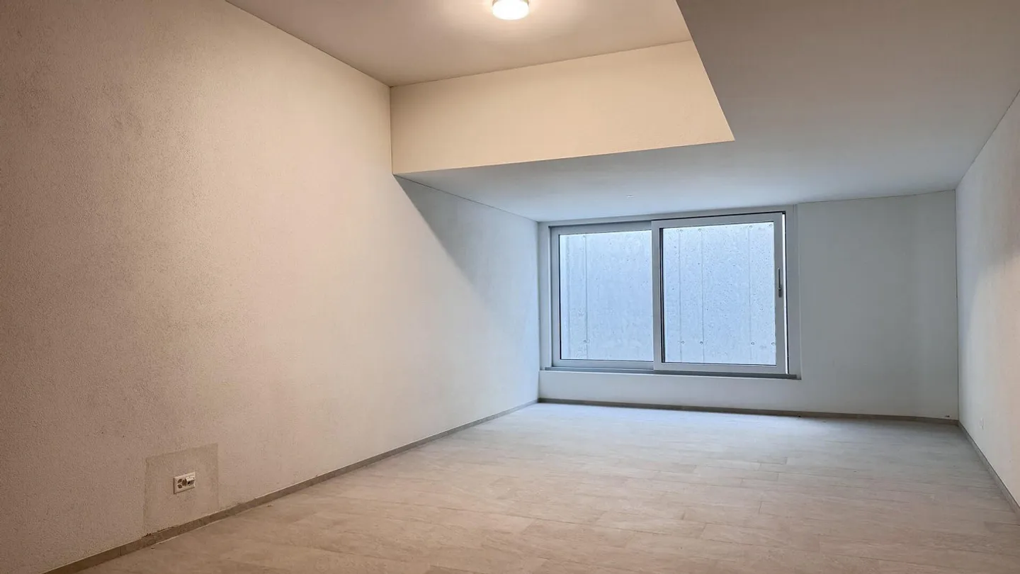 Modern basement hobby room with private outdoor area in Dättwil - Photo 2 of 5