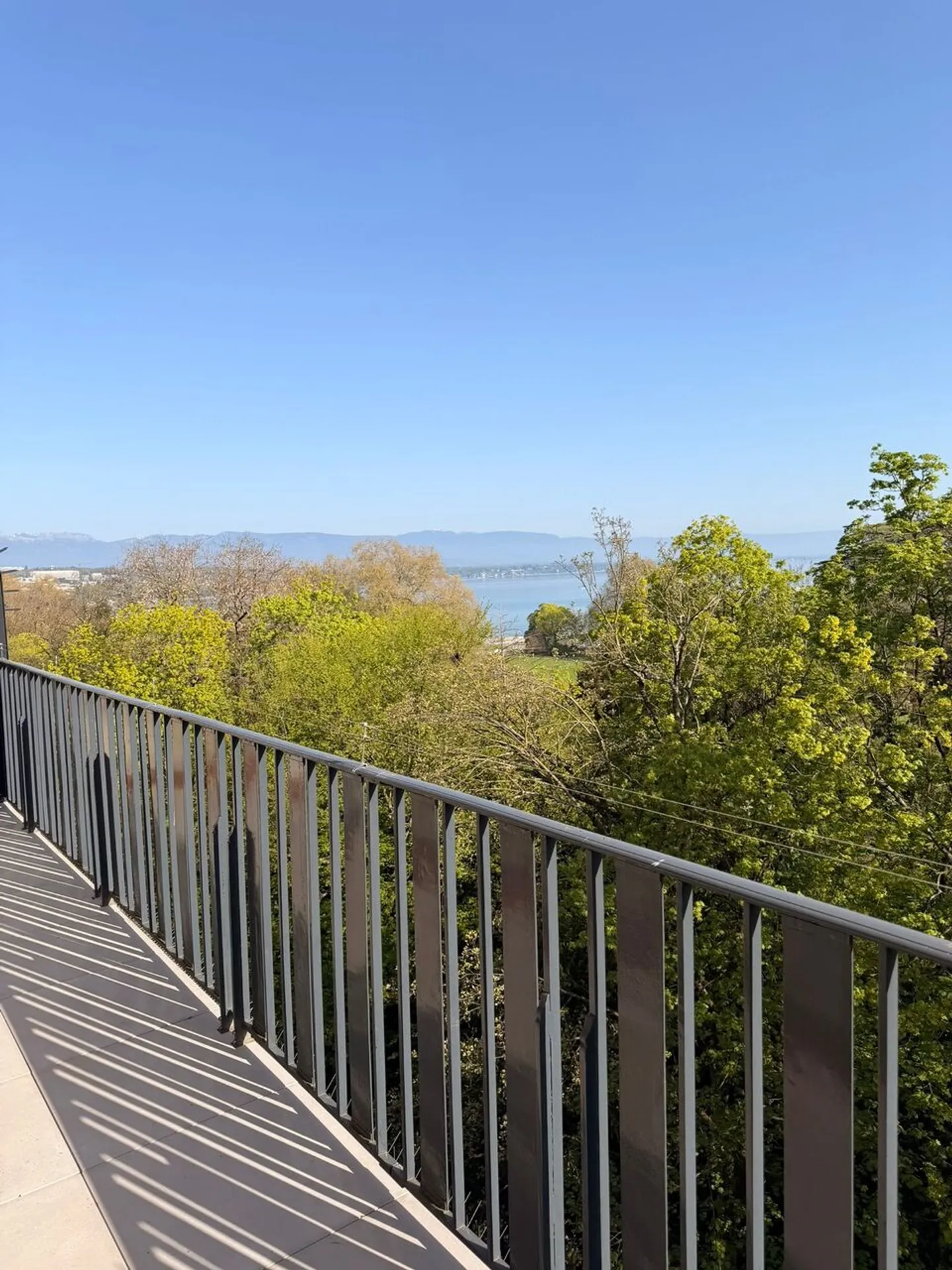 Magnifique Appartement Vue Lac - Photo 5 sur 10