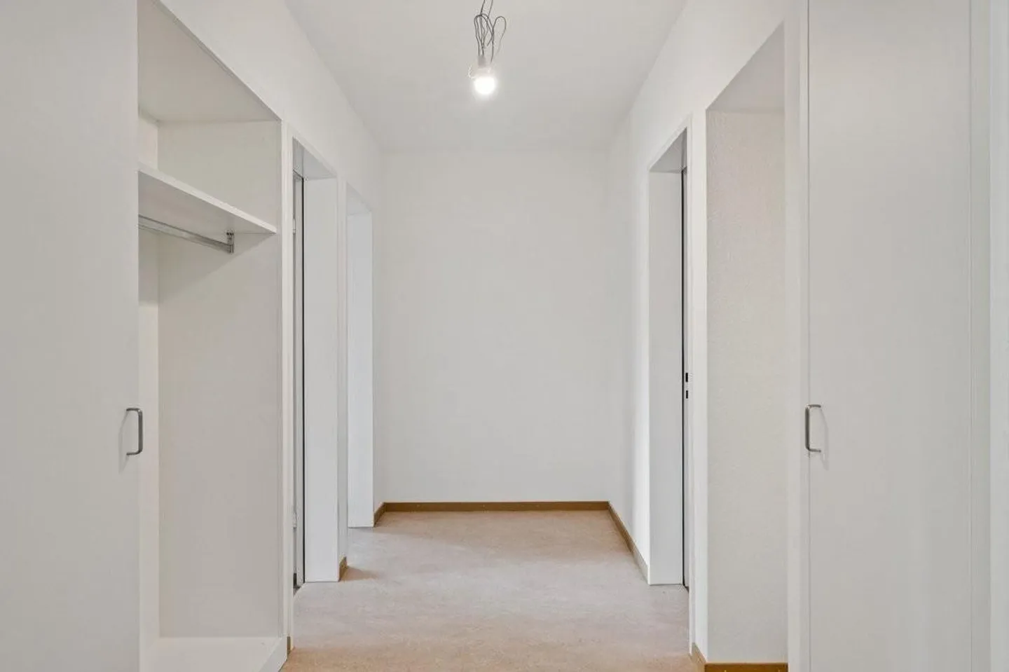 Appartement familial fraîchement rénové dans un emplacement calme à Riehen - Photo 5 sur 10