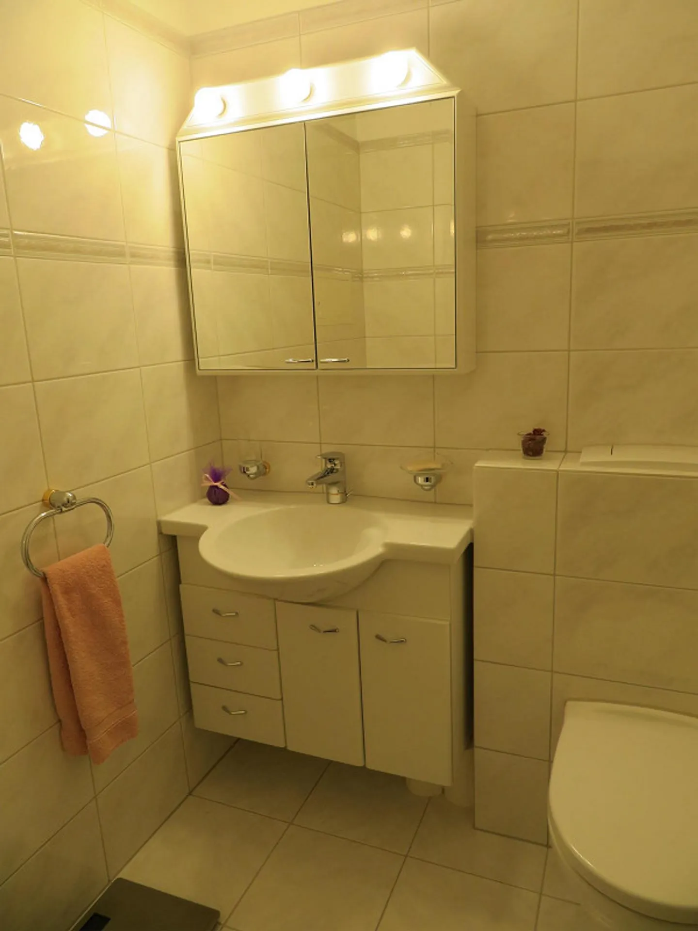 Appartement attrayant de 4,5 pièces avec cheminée et vue sur le Rigi à Matthof - Photo 7 sur 10