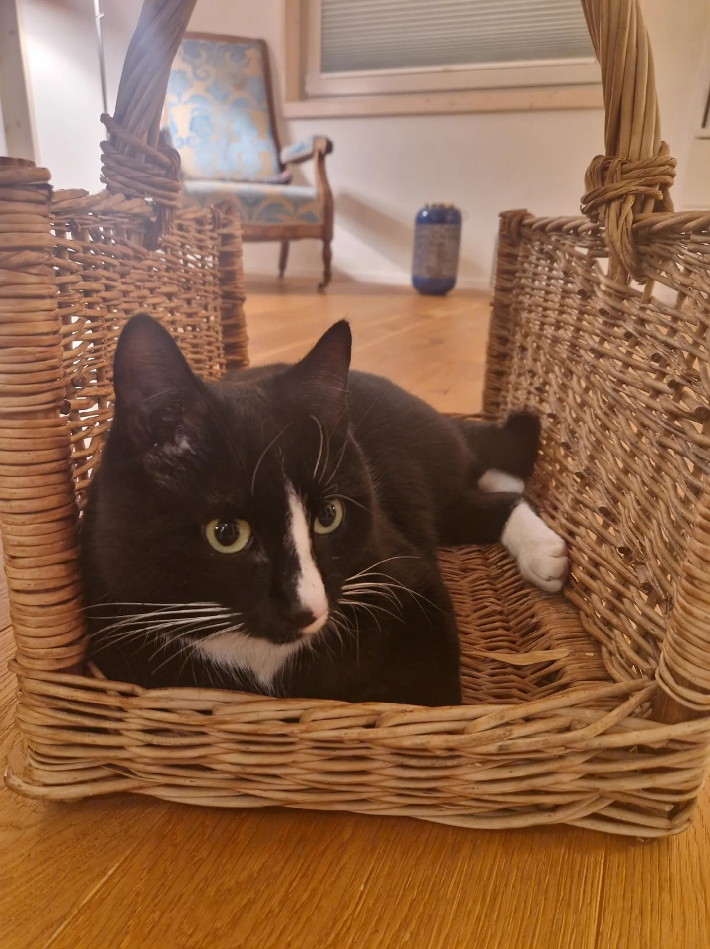 Casa singola in affitto - Foto 5 di 5