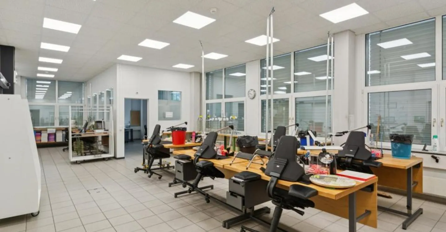 Opportunité d'investissement industriel - Photo 8 sur 9