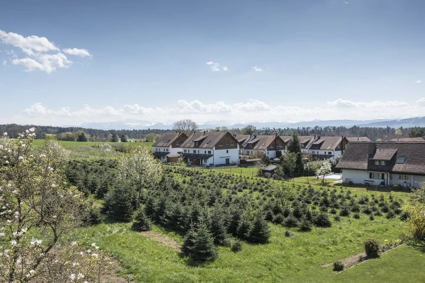 Superbe appartement en duplex de 5,5 pièces à louer dans la verdure - Photo 6 sur 11